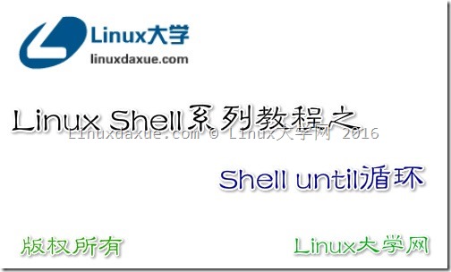 Shell until循环